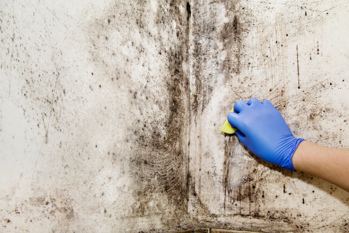 schimmel op muur verwijderen