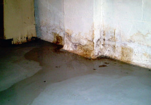 vocht in huis vocht in huis